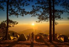 Camping With A Family: 5 Ways To Have Fun